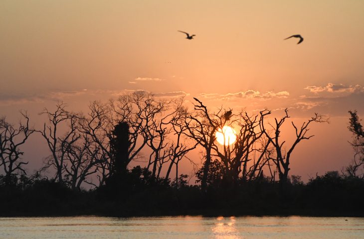 Calor de quase 40°C e tempo seco se unem nesta quarta em MS