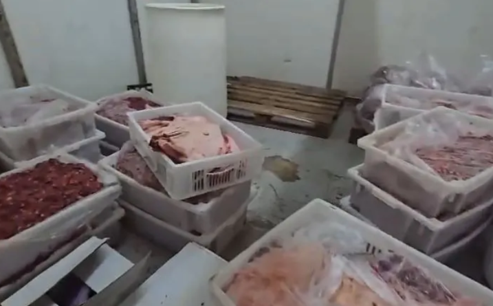 Frigorífico é fechado após apreensão de carne podre em SP