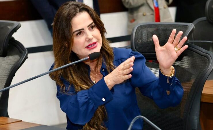 Mara Caseiro solicita investimentos para modernização do Aeroporto de Amambai