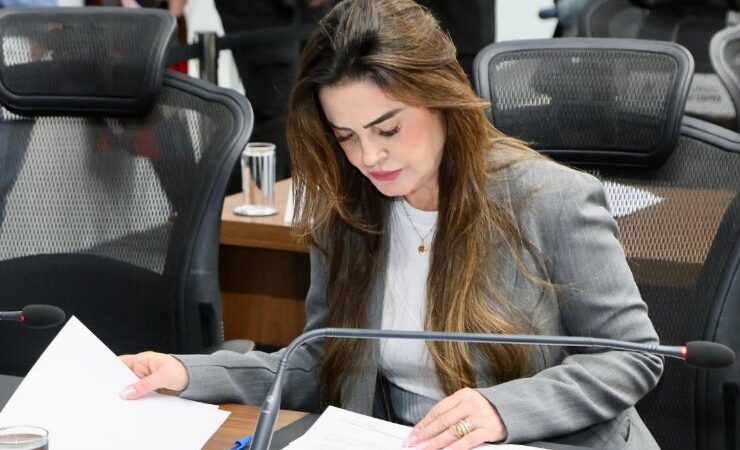 Mara Caseiro pede ensiladeira para fortalecer agricultura familiar em Eldorado