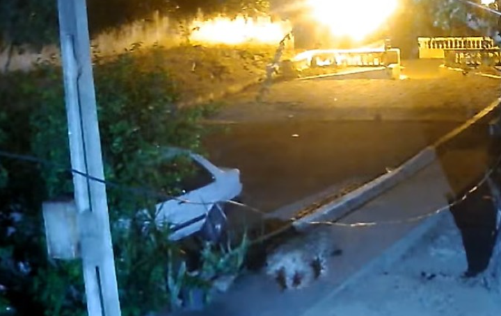 Moradores ficam em pânico após avistamento de onça-pintada em Corumbá